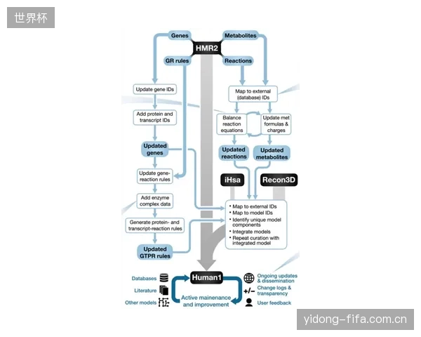 全盘照搬欧美运动员的营养模型,忽略中国人群的代谢特征,无异于“刻舟求剑 全盘照搬欧美运动员的营养模型,忽略中国人群的代谢特征,无异于“刻舟求剑