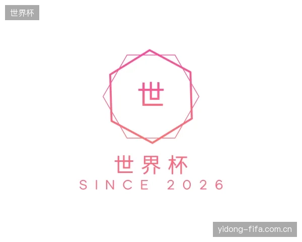 解读世界杯公司